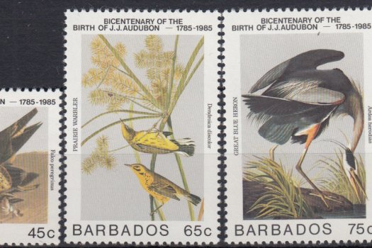 Barbados SG784-787 | Birth Centenary of John J Audubon
