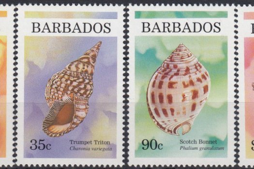 Barbados SG1107-1110 | Shells