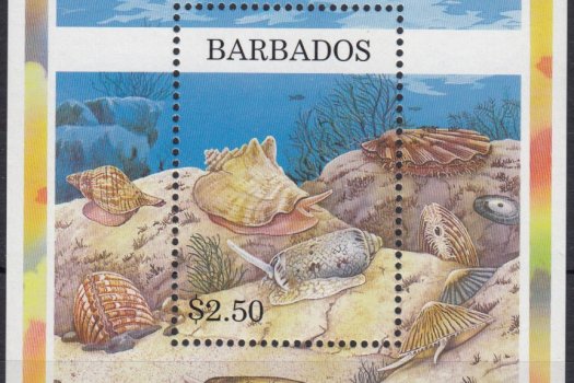 Barbados SGMS1111 | Shells Souvenir Sheet