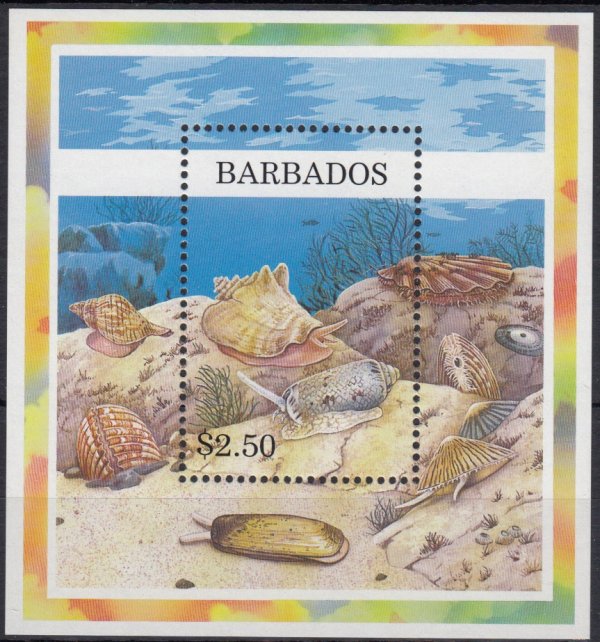 Barbados SGMS1111 | Shells Souvenir Sheet