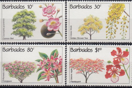 Barbados SG975-978 | Conservation Flowering Trees