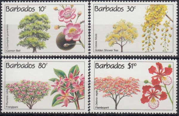 Barbados SG975-978 | Conservation Flowering Trees