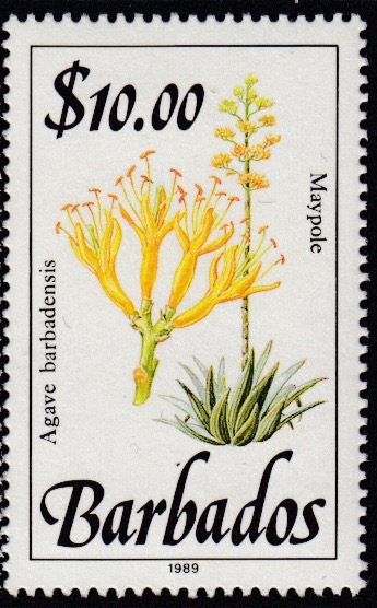 Barbados SG905 - Maypole