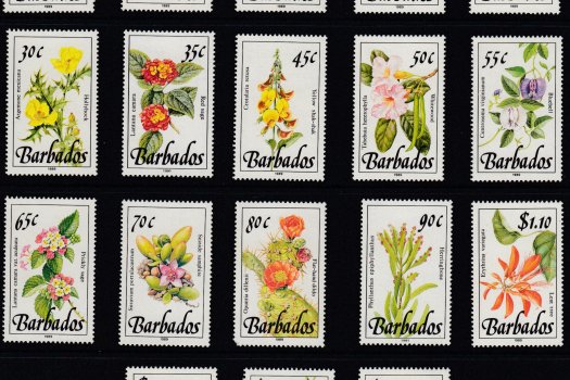 Barbados SG890-905 | Wild Plants Definitive full set of 18 values