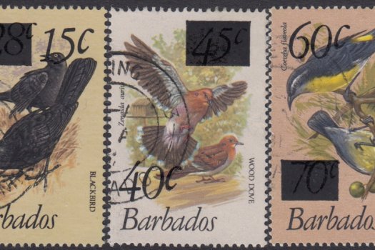 Barbados SG682-684 | Birds of Barbados Definitives 1979-83 Surcharged values (Used)