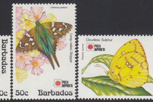 Barbados SG960-963 | Butterflies - Phil Nippon '91 International Stamp Exhibition