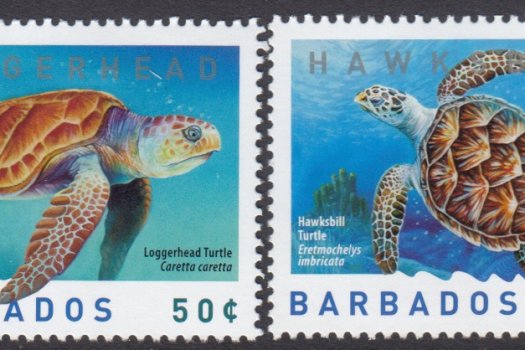 Barbados SG1319-1322 | Turtles 2007