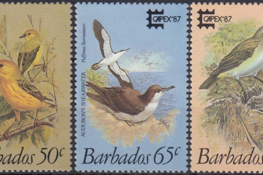 Barbados SG836-840 | Capex '87 Birds of Barbados (mounted mint)