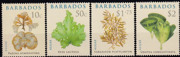 Barbados SG1323-1326 | Algae 2008