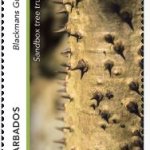 Blackmans Gully $5.00 | Gullies in Barbados - Barbados Stamps