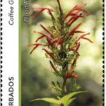 Coffee Gully $1.40 | Gullies in Barbados - Barbados Stamps