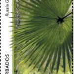 Russia Gully 25c | Gullies in Barbados - Barbados Stamps