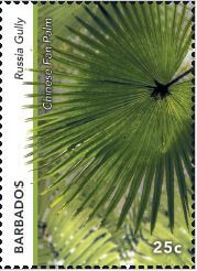 Russia Gully 25c | Barbados Stamps