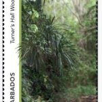 Turner's Hall Woods $2.75 | Gullies in Barbados - Barbados Stamps