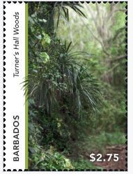 Turner's Hall Woods $2.75 | Barbados Stamps