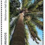 Welchman Hall Gully $10.00 | Gullies in Barbados - Barbados Stamps