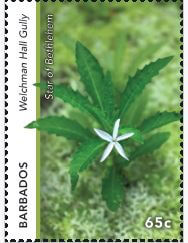 Welchman Hall Gully 65c | Gullies in Barbados - Barbados Stamps