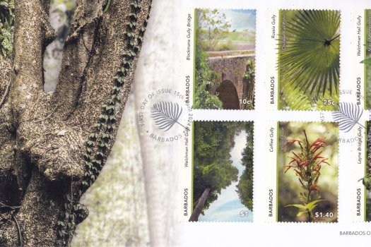 Gullies in Barbados FDC (low values)