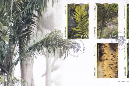 Gullies in Barbados FDC (high values)