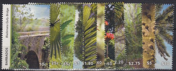 Gullies in Barbados - definitive set 2024