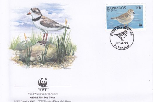 Barbados 1999 | Endangered Species Piping Plover FDC 1
