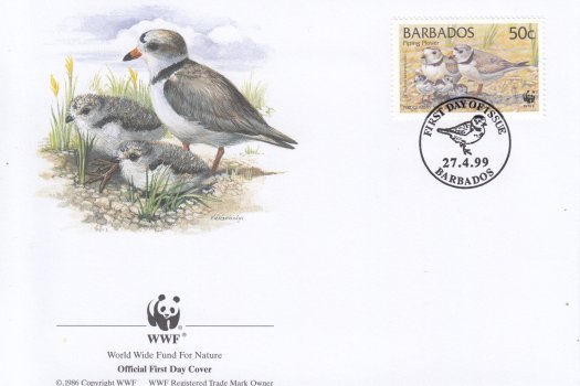 Barbados 1999 | Endangered Species Piping Plover FDC 3