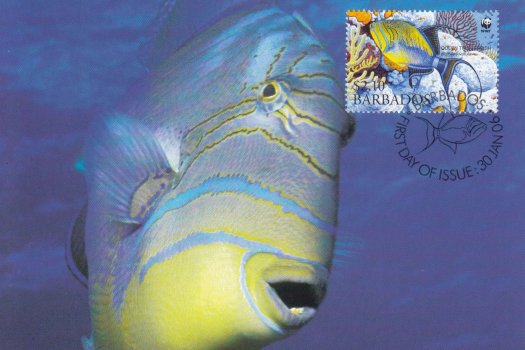 Barbados 2006 | Queen Triggerfish Maximum Card $2.10 stamp