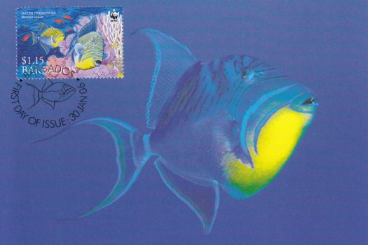 Barbados 2006 | Queen Triggerfish Maximum Card $1.15 stamp