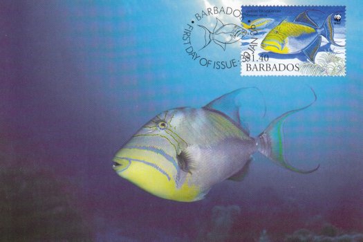Barbados 2006 | Queen Triggerfish Maximum Card $1.40 stamp