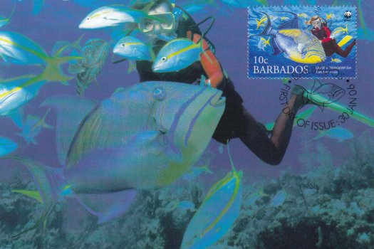 Barbados 2006 | Queen Triggerfish Maximum Card 10c stamp