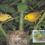 Barbados 1991 | Yellow Warbler Maximum Card 20c stamp