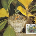 Barbados 1991 | Yellow Warbler Maximum Card 45c stamp