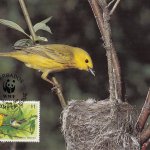 Barbados 1991 | Yellow Warbler Maximum Card $1 stamp