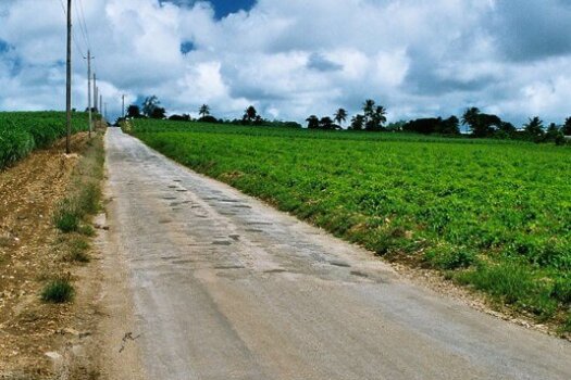 Barbados 'A' Road!