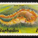 Barbados SG763A