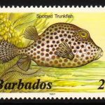 Barbados SG764B