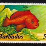 Barbados SG765A