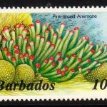 Barbados SG766A