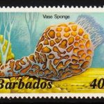 Barbados SG770A
