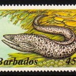 Barbados SG771A