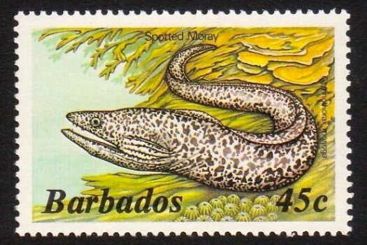 Barbados SG771A