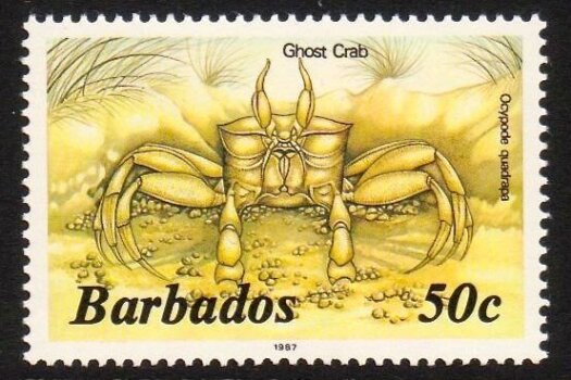 Barbados SG772B