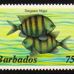 Barbados SG774A