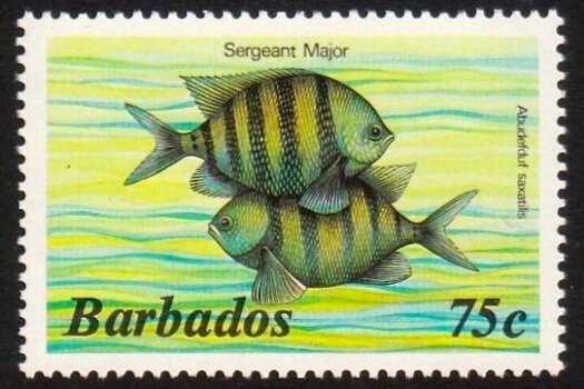 Barbados SG774A