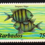 Barbados SG774B