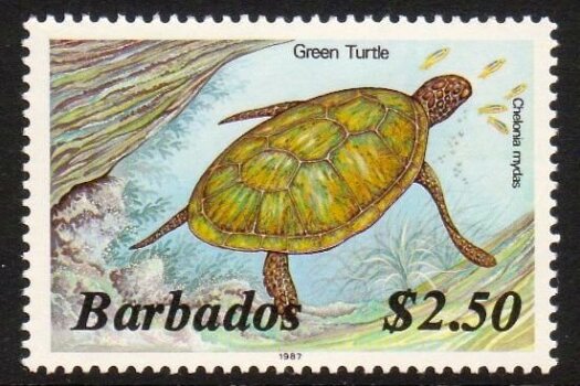 Barbados SG776B