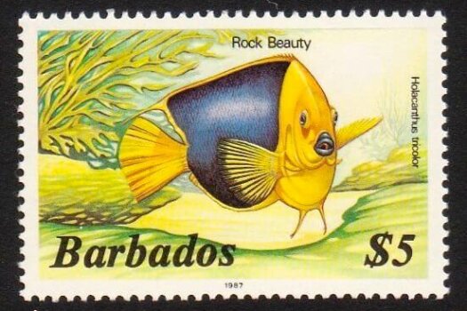 Barbados SG777B