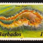 Barbados SG794B