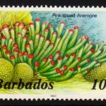 Barbados SG797B