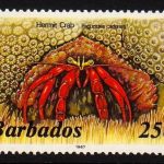 Barbados SG799B